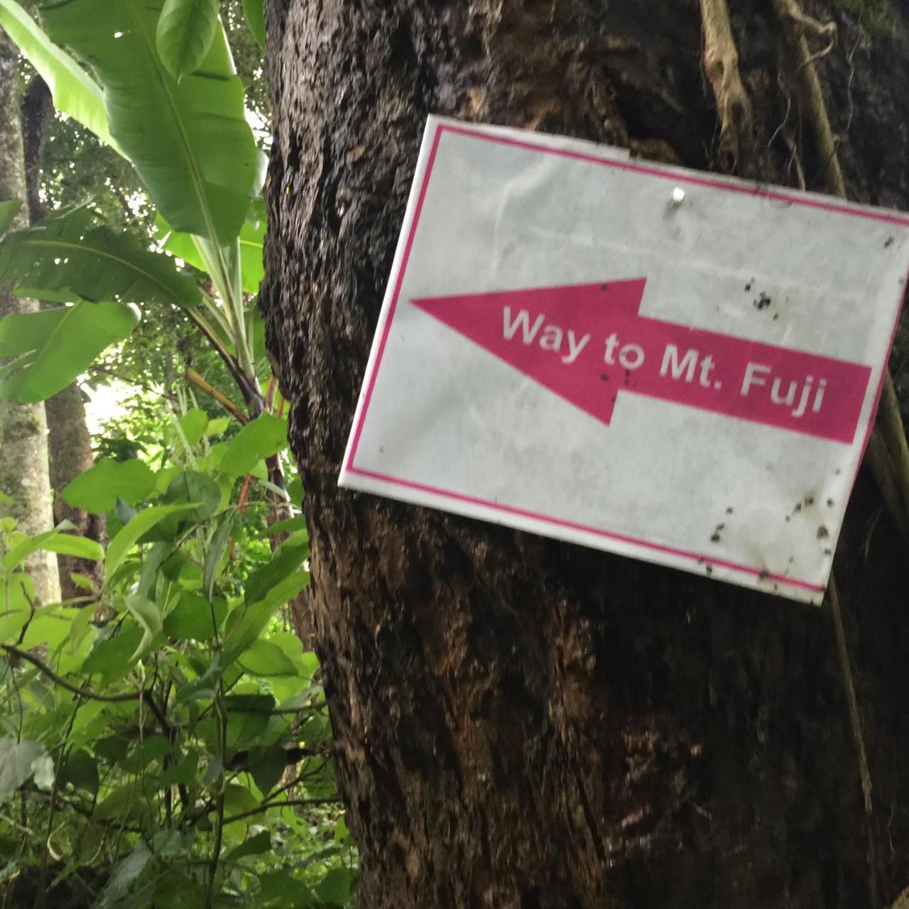 Mount Fuji Homestay Deorali Ngoại thất bức ảnh