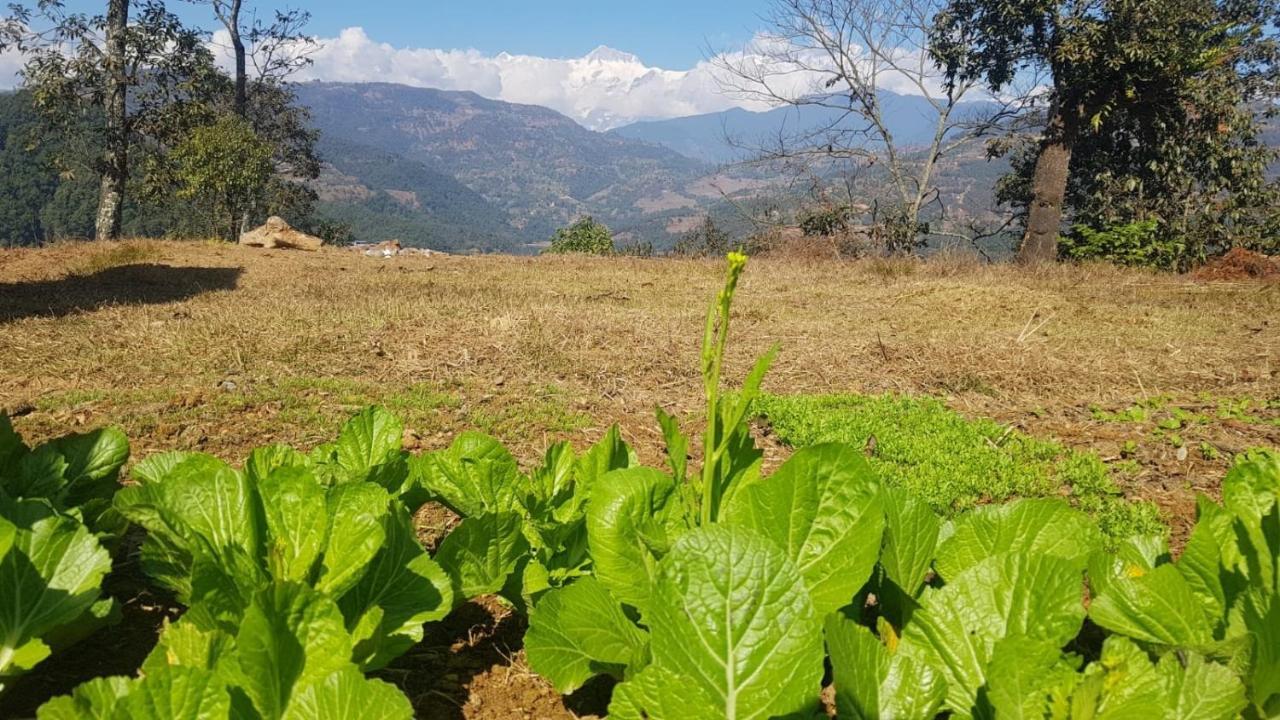 Mount Fuji Homestay Deorali Ngoại thất bức ảnh